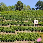 Romantik Meisenheimer Hof Meisenheim