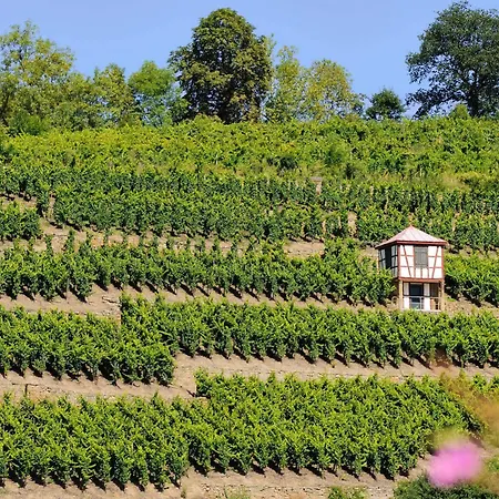 Romantik Meisenheimer Hof Meisenheim