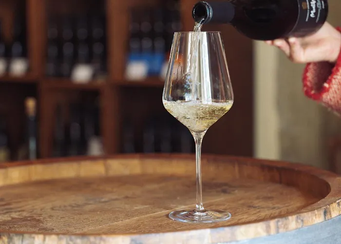 Hotel Meisenheimer Hof Meisenheim