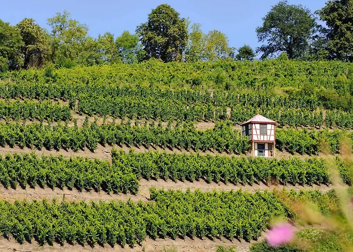 Meisenheimer Hof Meisenheim