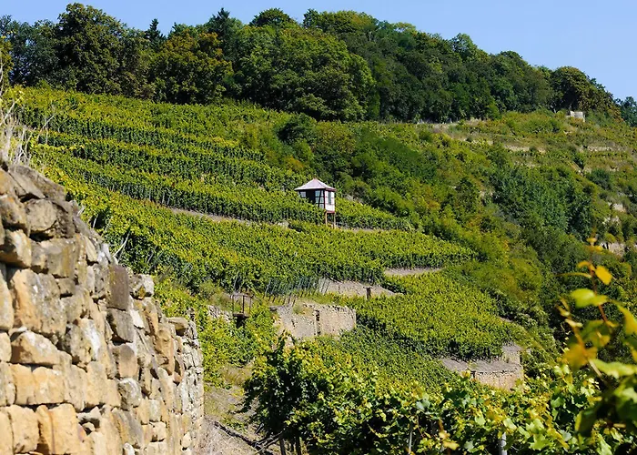 Romantik Meisenheimer Hof ホテル マイゼンハイム