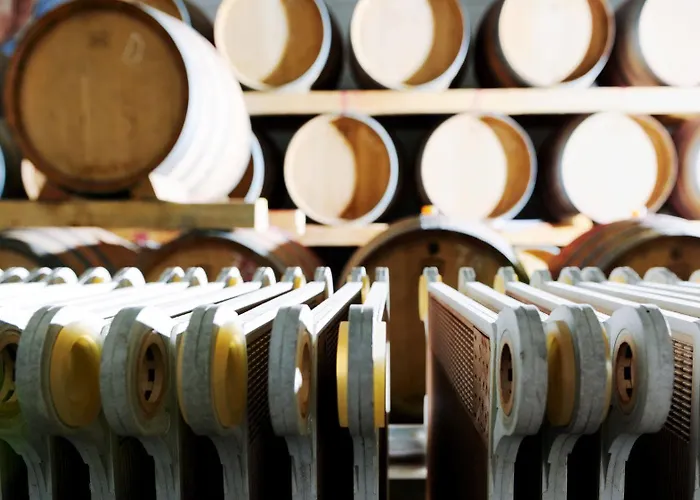 Meisenheimer Hof Meisenheim