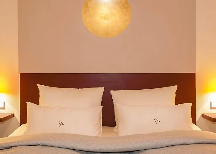 Romantik Meisenheimer Hof 3* マイゼンハイム